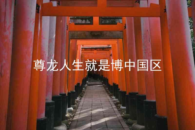 尊龙人生就是博中国区
